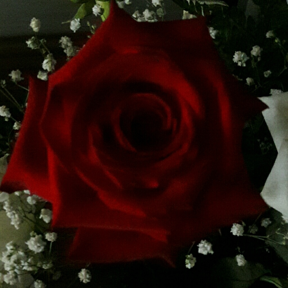 Meet your Posher, S.